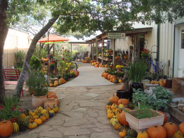 lots of ideas for your fall decor - kslandscaping.net